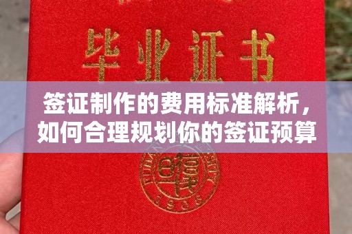 五莲签证制作的费用标准解析，如何合理规划你的签证预算