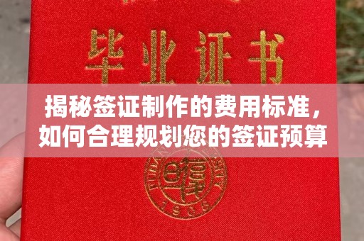 五莲揭秘签证制作的费用标准，如何合理规划您的签证预算？