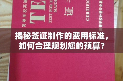 五莲揭秘签证制作的费用标准，如何合理规划您的预算？