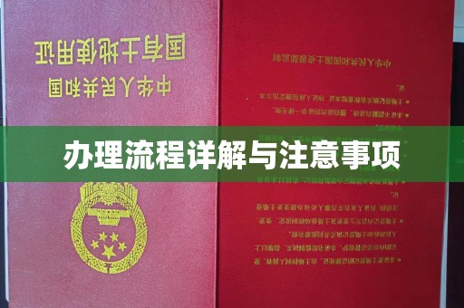 五莲办理流程详解与注意事项